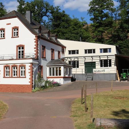 Gaestehaus Herrenmuehle Freudenburg  Extérieur photo