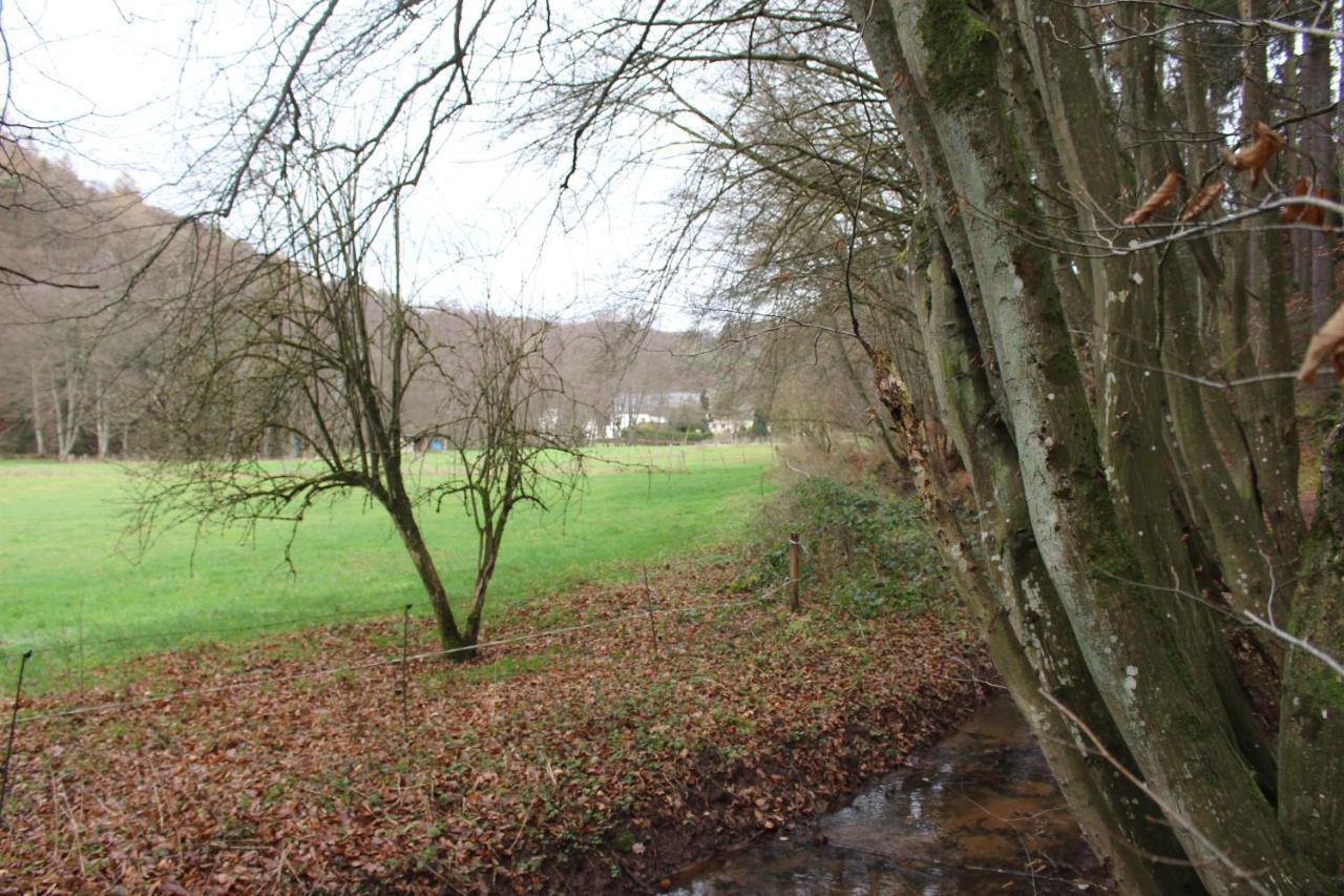 Gaestehaus Herrenmuehle Freudenburg  Extérieur photo