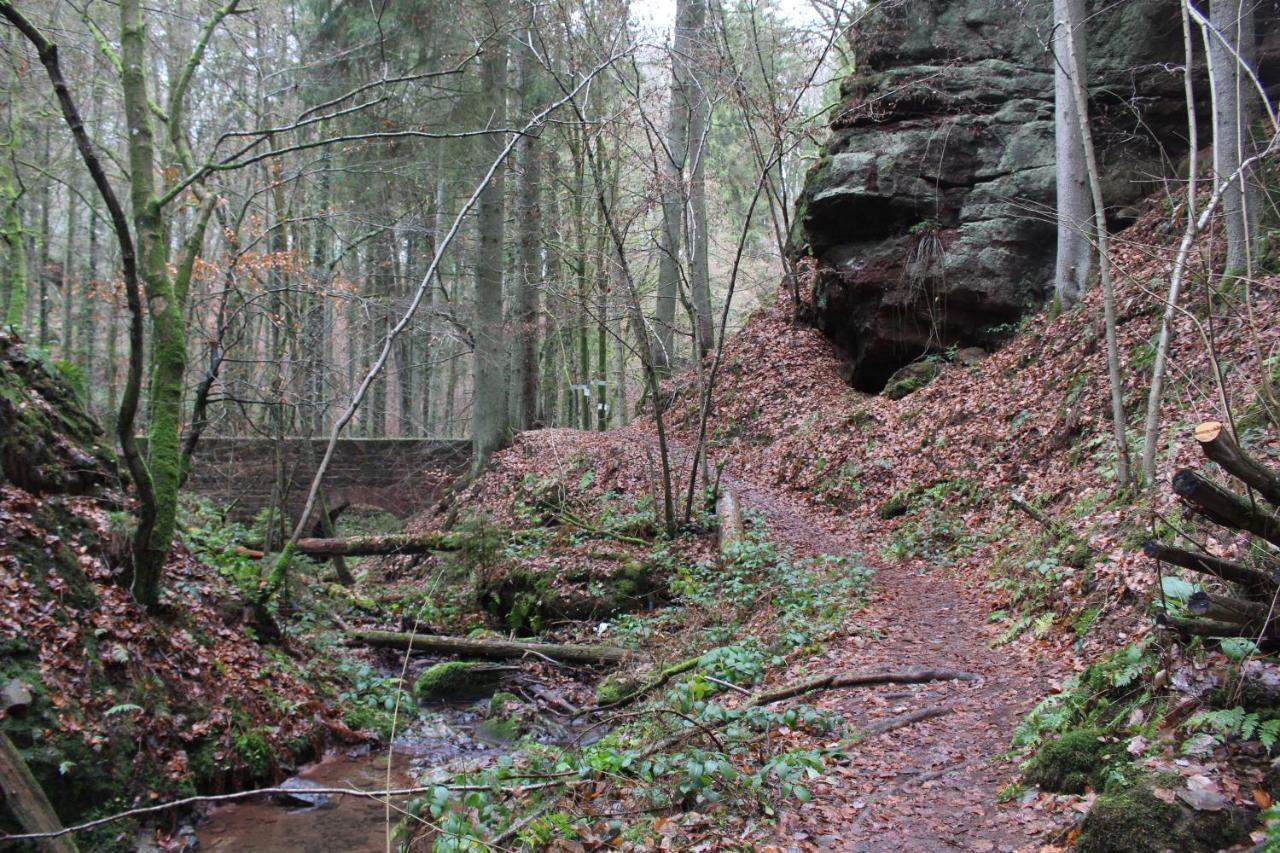 Gaestehaus Herrenmuehle Freudenburg  Extérieur photo