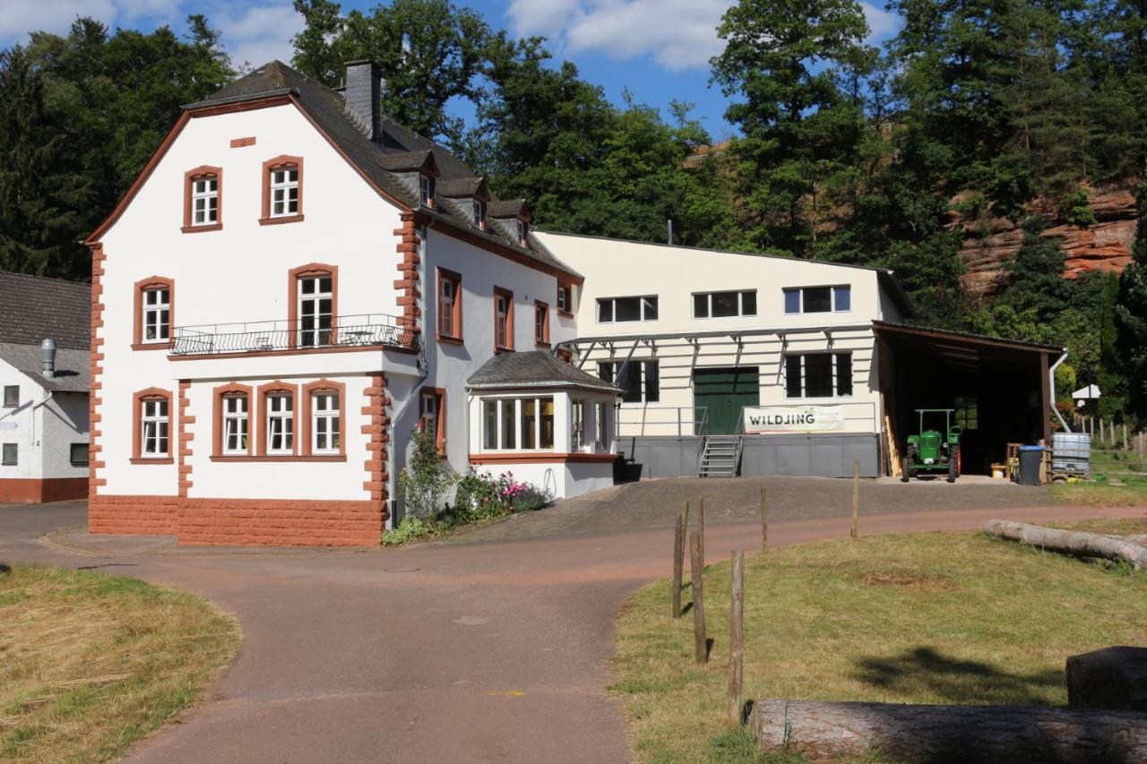 Gaestehaus Herrenmuehle Freudenburg  Extérieur photo